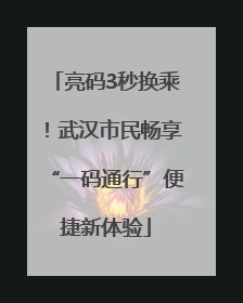亮码3秒换乘！武汉市民畅享“一码通行”便捷新体验