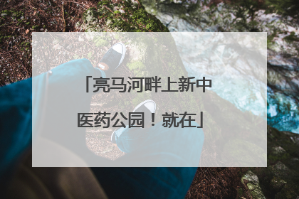 亮马河畔上新中医药公园！就在