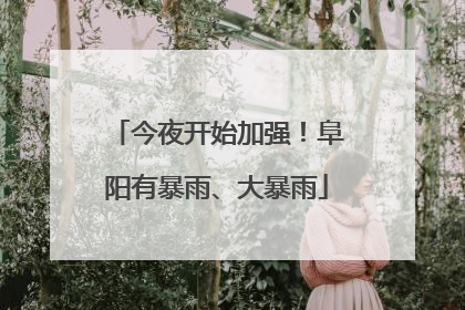 今夜开始加强！阜阳有暴雨、大暴雨