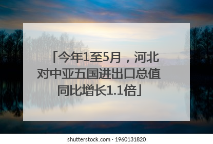 今年1至5月，河北对中亚五国进出口总值同比增长1.1倍