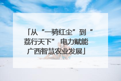 从“一骑红尘”到“荔行天下” 电力赋能广西智慧农业发展
