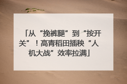 从“挽裤腿”到“按开关”！高青稻田插秧“人机大战”效率拉满