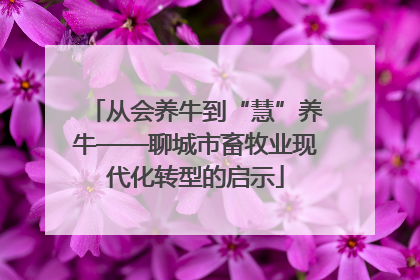 从会养牛到“慧”养牛——聊城市畜牧业现代化转型的启示