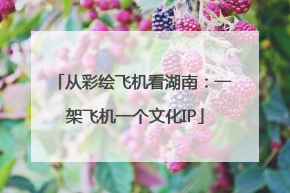 从彩绘飞机看湖南：一架飞机一个文化IP