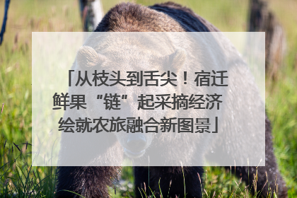 从枝头到舌尖！宿迁鲜果“链”起采摘经济绘就农旅融合新图景