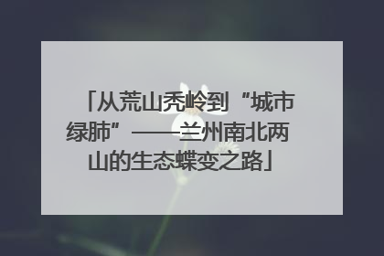 从荒山秃岭到“城市绿肺”——兰州南北两山的生态蝶变之路