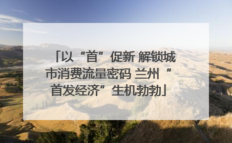 以“首”促新 解锁城市消费流量密码 兰州“首发经济”生机勃勃