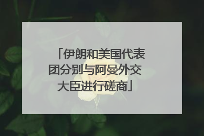 伊朗和美国代表团分别与阿曼外交大臣进行磋商