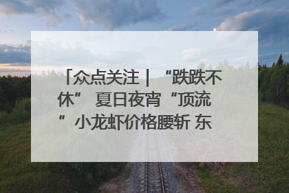 众点关注｜“跌跌不休” 夏日夜宵“顶流”小龙虾价格腰斩 东营人的快乐来了