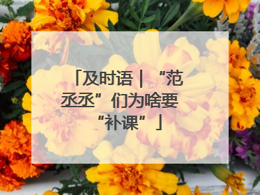 及时语｜“范丞丞”们为啥要“补课”