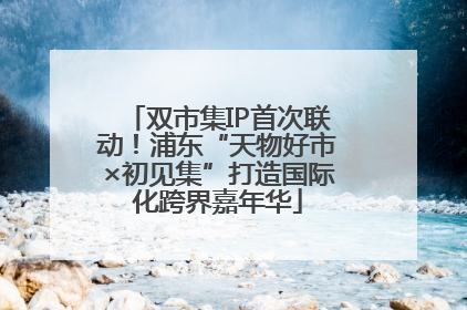 双市集IP首次联动！浦东“天物好市×初见集”打造国际化跨界嘉年华