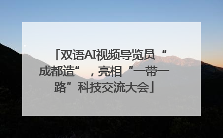 双语AI视频导览员“成都造”，亮相“一带一路”科技交流大会