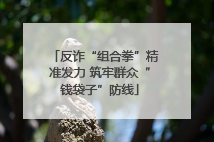 反诈“组合拳”精准发力 筑牢群众“钱袋子”防线