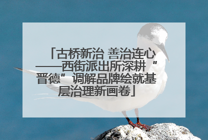 古桥新治 善治连心——西街派出所深耕“晋德”调解品牌绘就基层治理新画卷