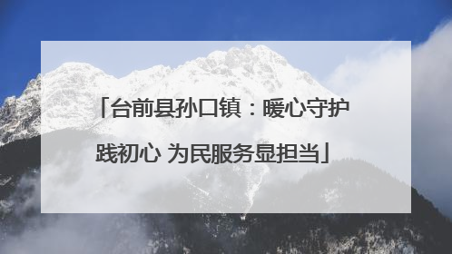 台前县孙口镇：暖心守护践初心 为民服务显担当
