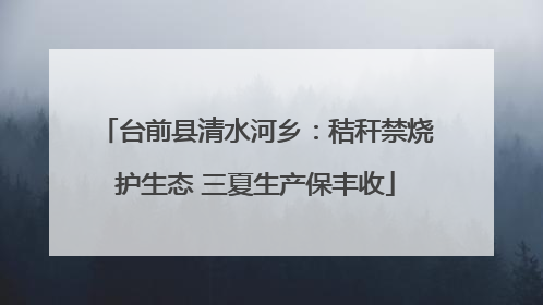 台前县清水河乡：秸秆禁烧护生态 三夏生产保丰收