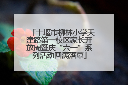 十堰市柳林小学天津路第一校区家长开放周暨庆“六一”系列活动圆满落幕
