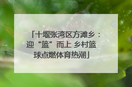 十堰张湾区方滩乡：迎“篮”而上 乡村篮球点燃体育热潮