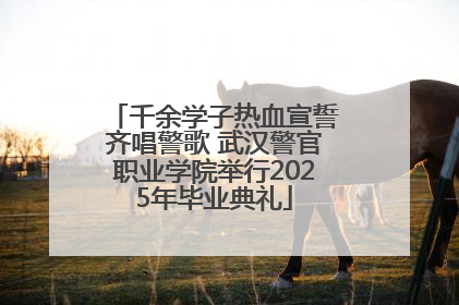 千余学子热血宣誓齐唱警歌 武汉警官职业学院举行2025年毕业典礼