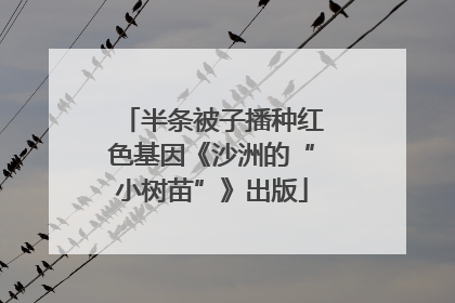 半条被子播种红色基因《沙洲的“小树苗”》出版