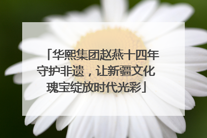 华熙集团赵燕十四年守护非遗，让新疆文化瑰宝绽放时代光彩
