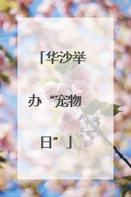 华沙举办“宠物日”