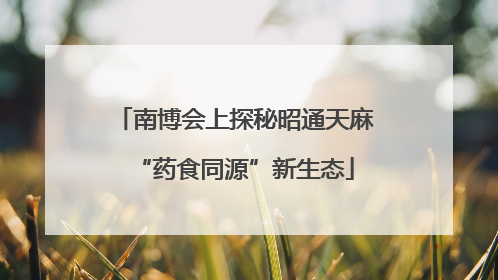 南博会上探秘昭通天麻“药食同源”新生态