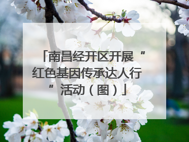 南昌经开区开展“红色基因传承达人行”活动（图）