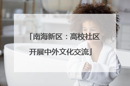 南海新区：高校社区开展中外文化交流