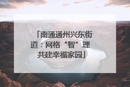 南通通州兴东街道：网格“智”理 共建幸福家园