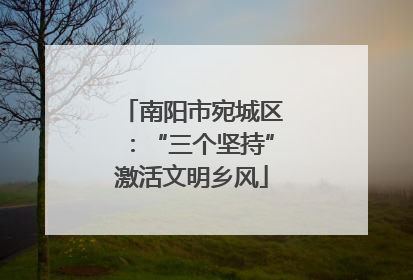 南阳市宛城区：“三个坚持”激活文明乡风