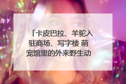 卡皮巴拉、羊驼入驻商场、写字楼 萌宠馆里的外来野生动物暗藏哪些隐患？