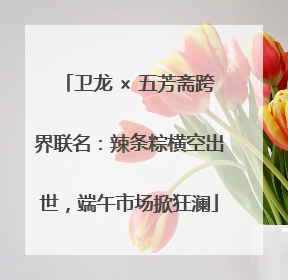 卫龙 × 五芳斋跨界联名：辣条粽横空出世，端午市场掀狂澜