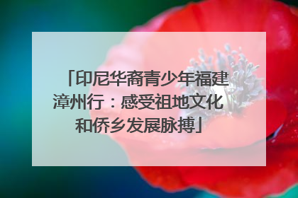 印尼华裔青少年福建漳州行：感受祖地文化和侨乡发展脉搏