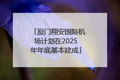 厦门翔安国际机场计划在2025年年底基本建成