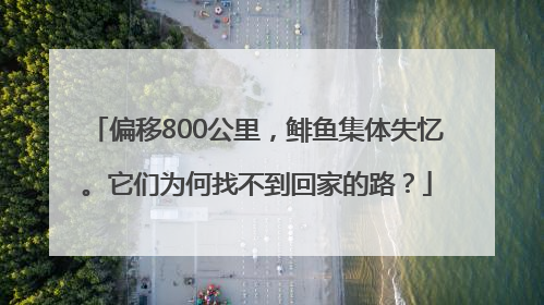 偏移800公里，鲱鱼集体失忆。它们为何找不到回家的路？