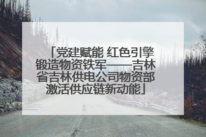 党建赋能 红色引擎锻造物资铁军——吉林省吉林供电公司物资部激活供应链新动能
