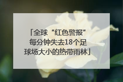 全球“红色警报”  每分钟失去18个足球场大小的热带雨林