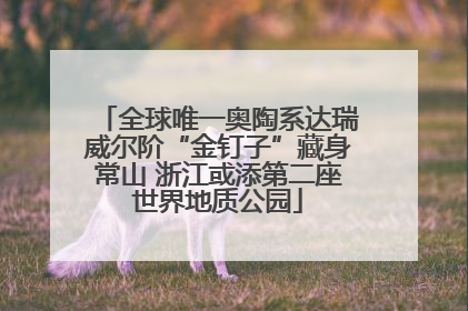 全球唯一奥陶系达瑞威尔阶“金钉子”藏身常山 浙江或添第二座世界地质公园