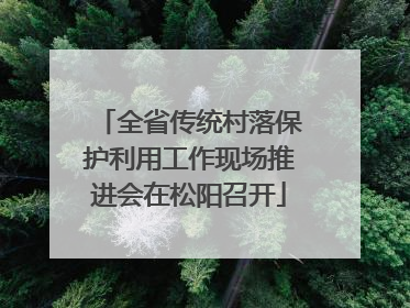全省传统村落保护利用工作现场推进会在松阳召开