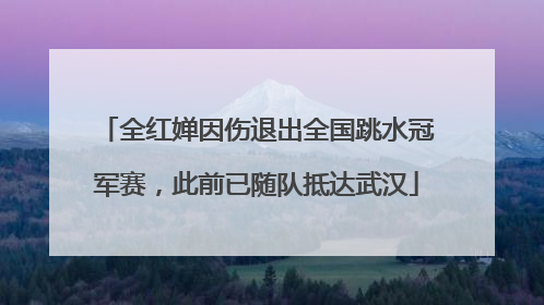 全红婵因伤退出全国跳水冠军赛，此前已随队抵达武汉
