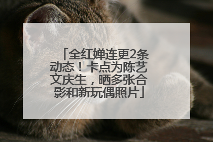 全红婵连更2条动态！卡点为陈艺文庆生，晒多张合影和新玩偶照片