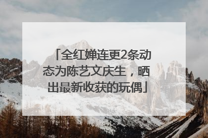 全红婵连更2条动态为陈艺文庆生，晒出最新收获的玩偶