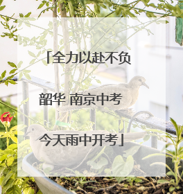 全力以赴不负韶华 南京中考今天雨中开考