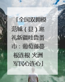 全国双拥模范城（县）巡礼新疆吐鲁番市：葡萄藤蔓根连根 火洲军民心连心
