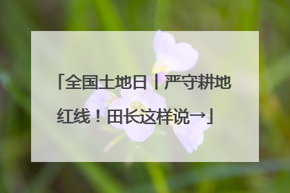 全国土地日丨严守耕地红线！田长这样说→