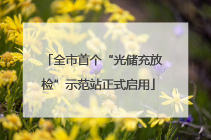 全市首个“光储充放检”示范站正式启用