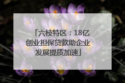 六枝特区：18亿创业担保贷款助企业发展提质加速