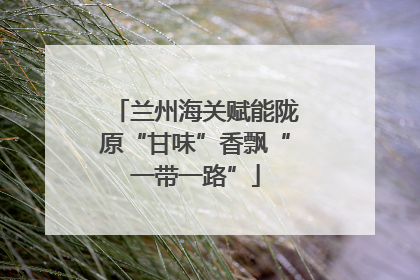 兰州海关赋能陇原“甘味”香飘“一带一路”