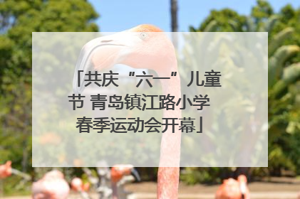 共庆“六一”儿童节 青岛镇江路小学春季运动会开幕